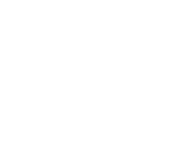 Delegate Wranglers Superstars logo